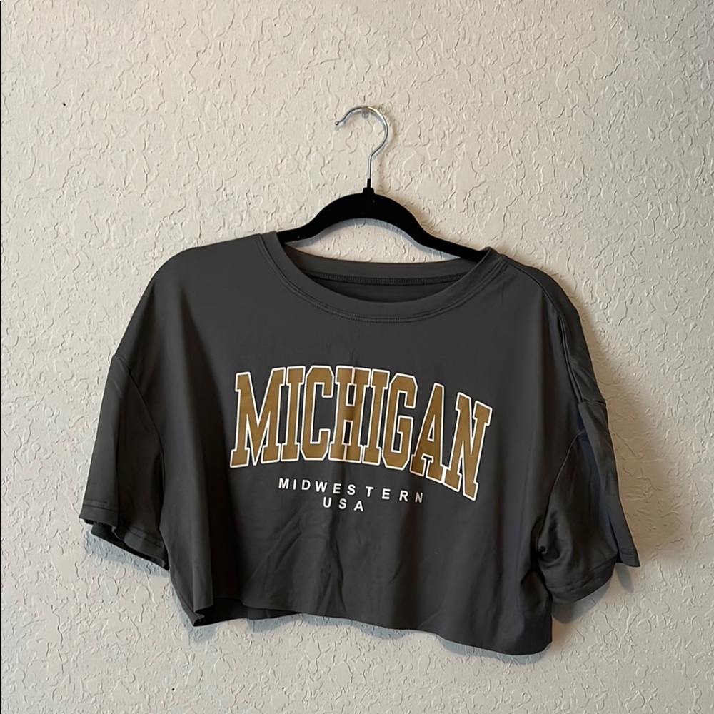 Gray Michigan Crop Top
